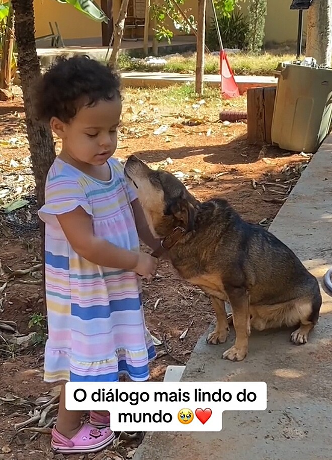 Diálogo Encantador entre Criança e Cão