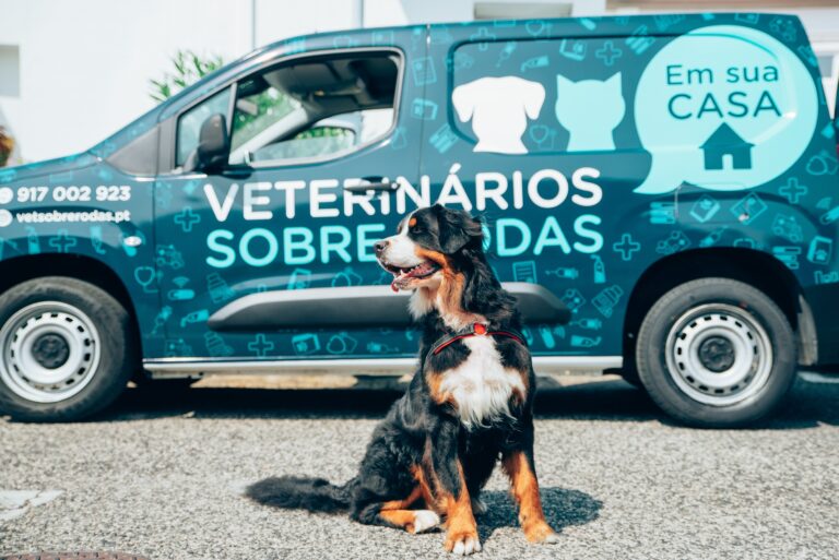 Veterinários Sobre Rodas Expande Serviço a Braga, Guimarães e Torres Vedras