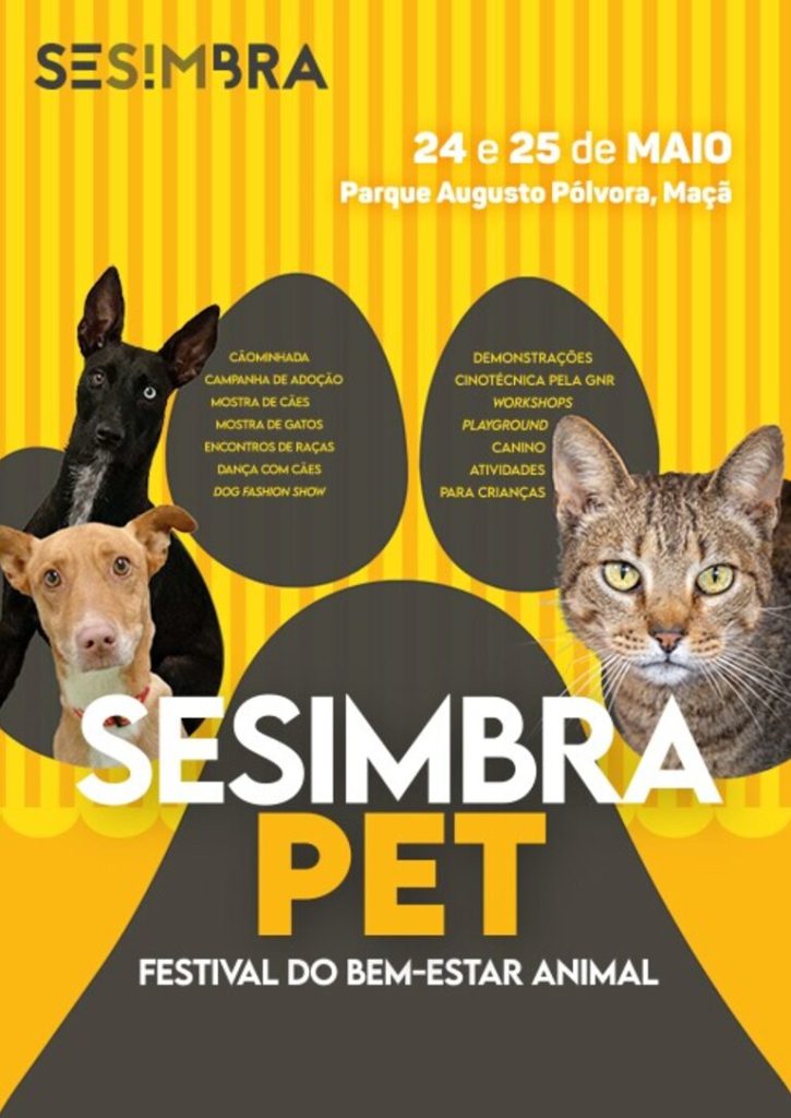Sesimbra PET 2025