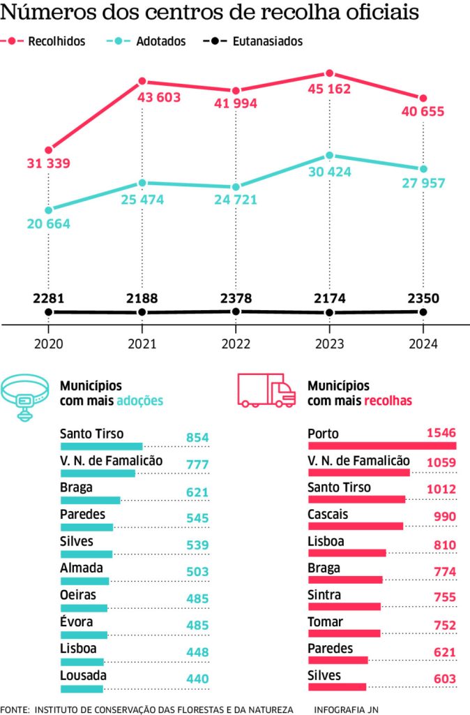 Adoções de animais caem 8% em Portugal