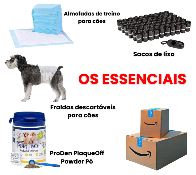 Amazon Prime Day: Ofertas imperdíveis para o seu cão!