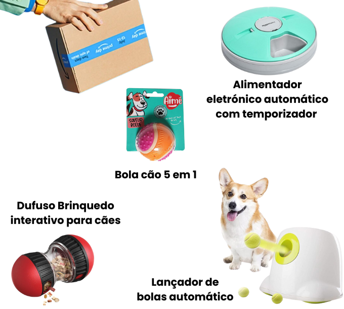 Amazon Prime Day: Ofertas imperdíveis para o seu cão!