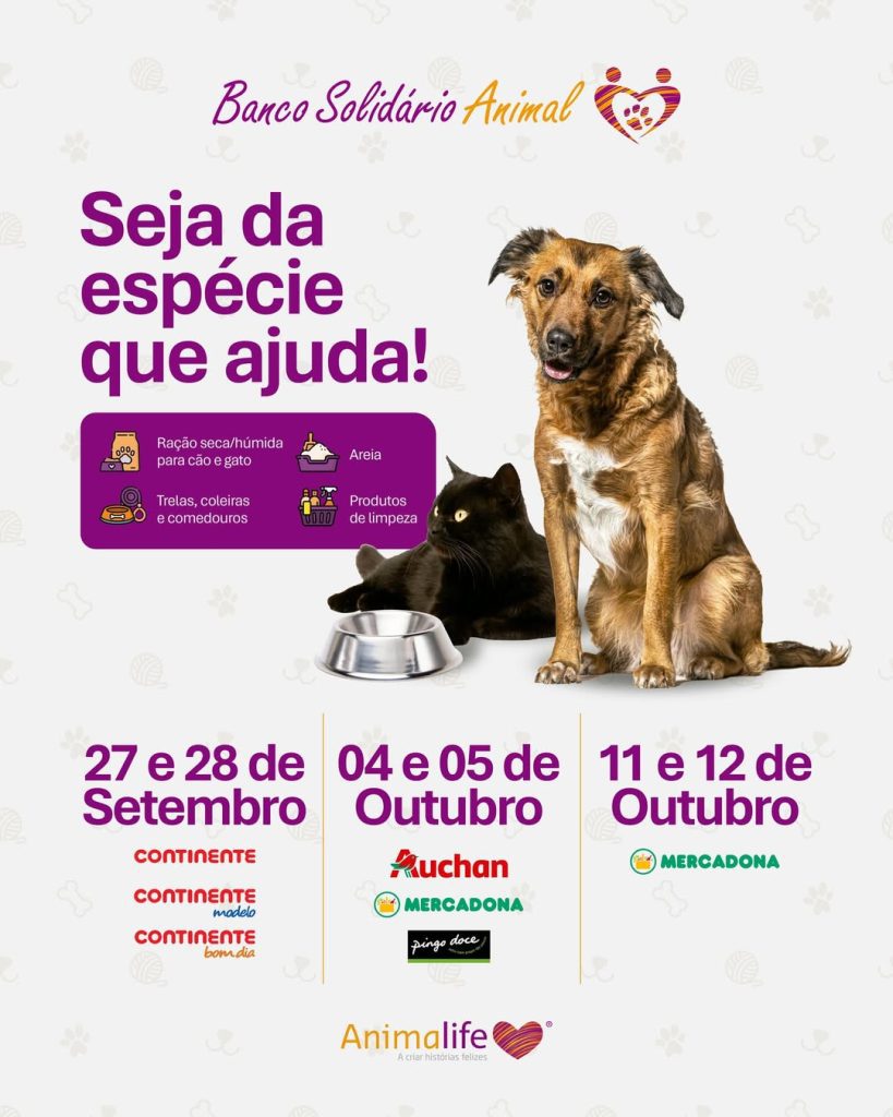 Animalife regressa com o Banco Solidário Animal 2025