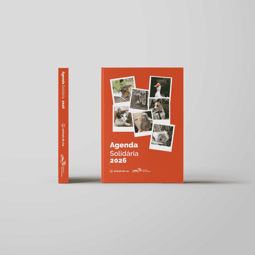 Agenda Solidária 2026