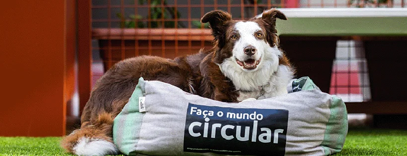 “Faça o Mundo Circular”: Metro de Lisboa transforma fardas antigas em camas para cães e apoia a União Zoófila