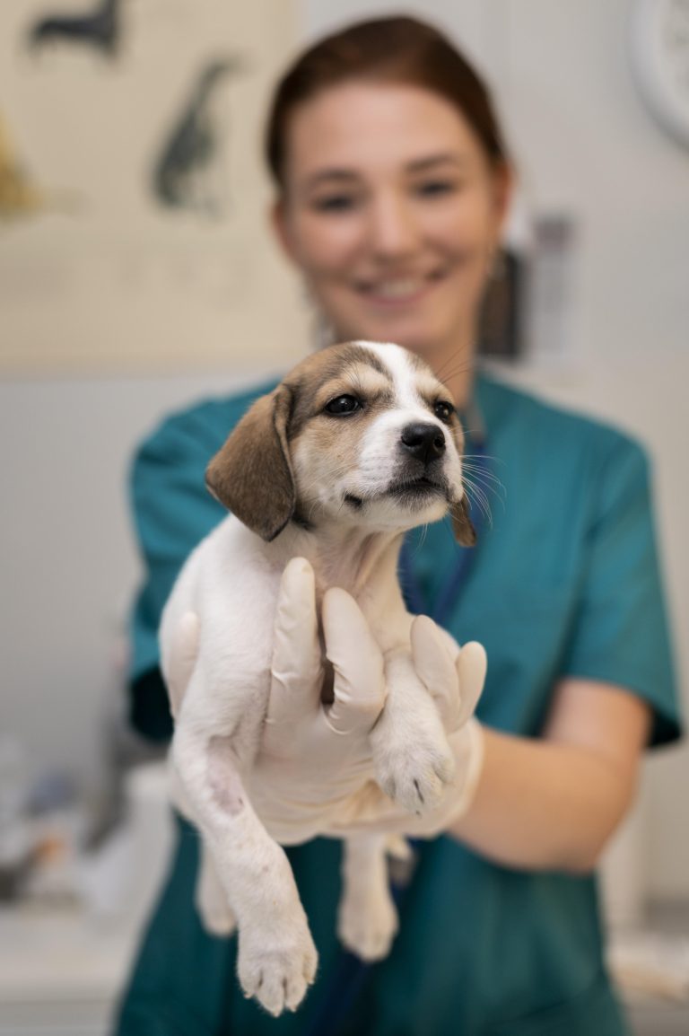Saúde mental dos veterinários: como enfrentar a carga emocional da profissão e proteger o bem-estar