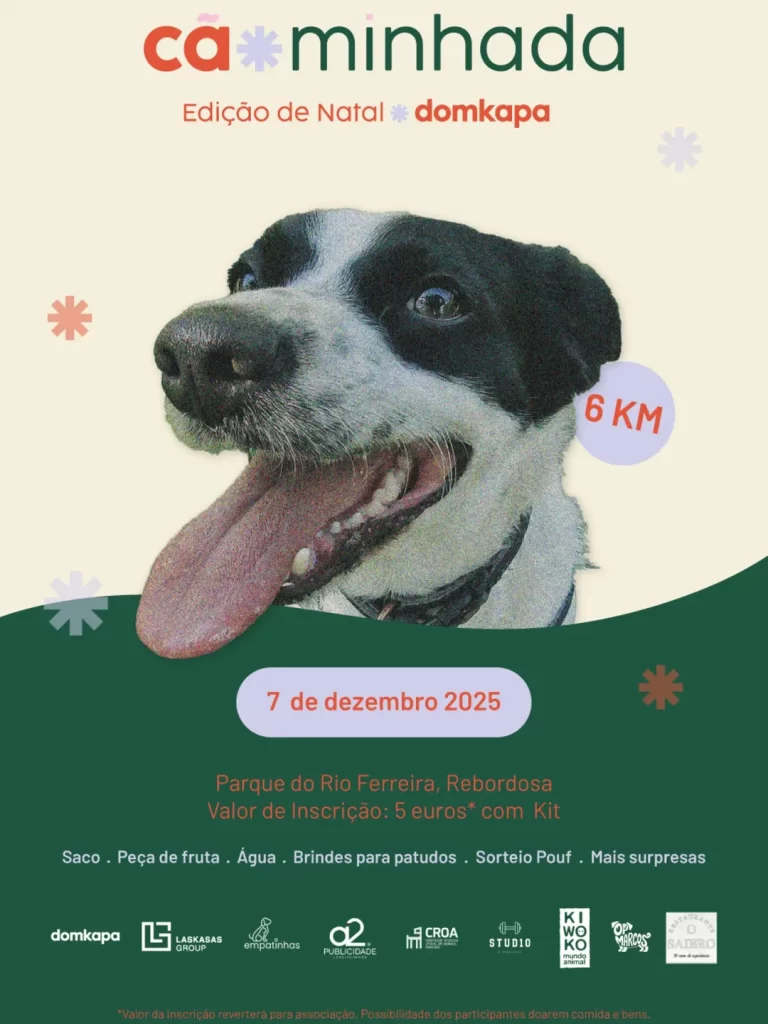 Cãominhada de Natal 2025: O Evento Solidário que Une Patudos, Famílias e Espírito Natalício