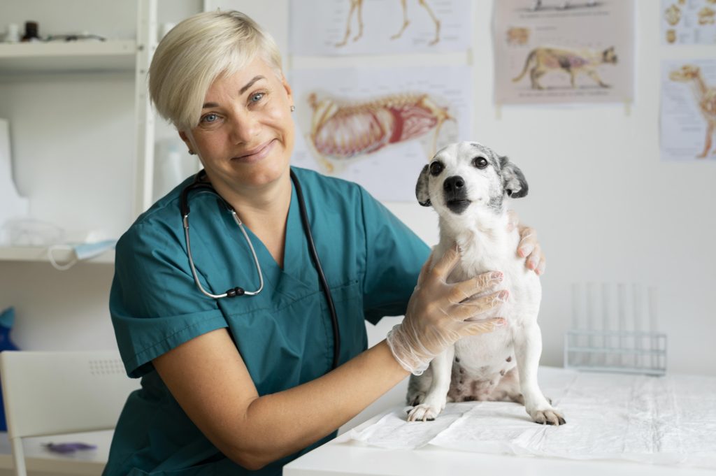 Consultas veterinárias sem medo: dicas práticas para um momento mais tranquilo