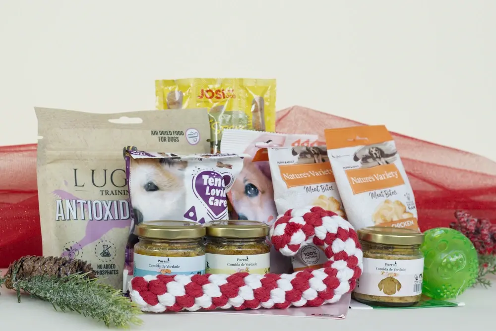Surprise Box de Natal: o presente irresistível que alegra o seu patudo e apoia quem mais precisa