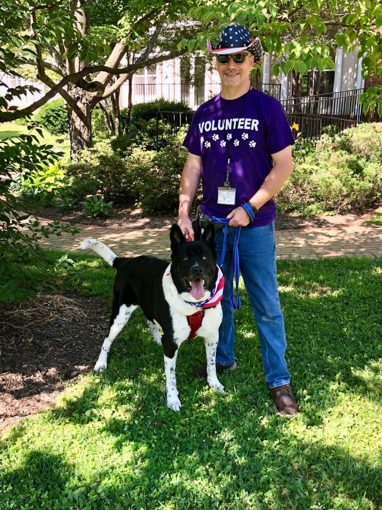 Sem férias nem feriados: o voluntário que passeia cães de abrigo todos os dias do ano