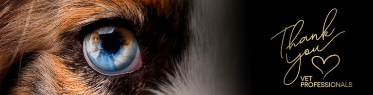 Saúde mental dos veterinários em alerta: estudo revela pressão crescente na profissão