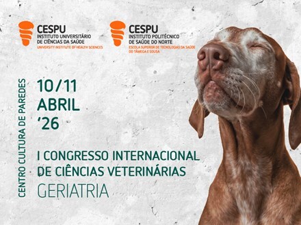 Medicina Veterinária em destaque: Paredes recebe congresso internacional dedicado à geriatria animal