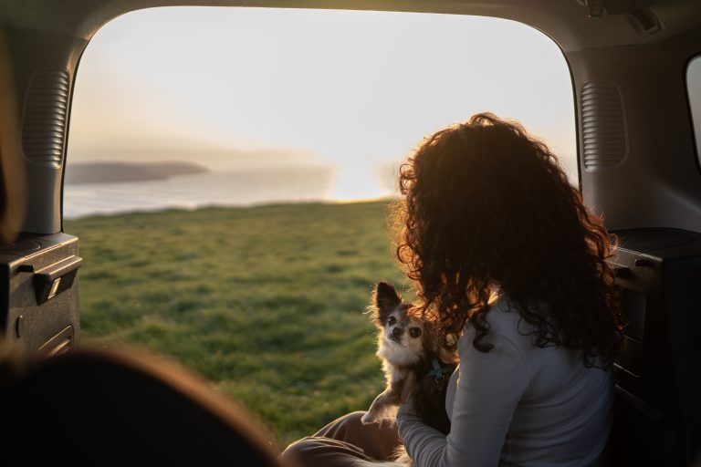 Vai viajar na Páscoa com o seu animal? Estes cuidados podem fazer toda a diferença