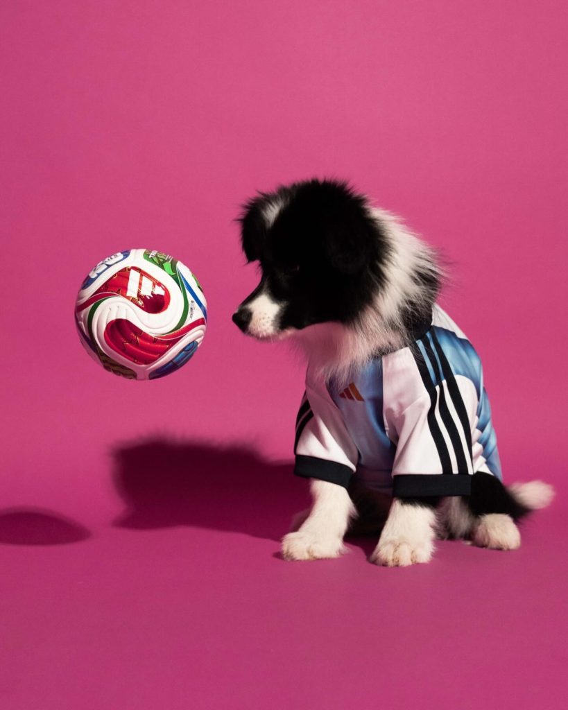 Adidas lança camisolas do Mundial 2026 para cães
