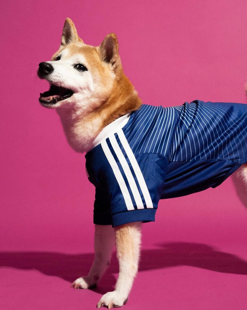 Adidas lança camisolas do Mundial 2026 para cães