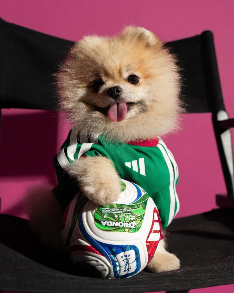 Adidas lança camisolas do Mundial 2026 para cães