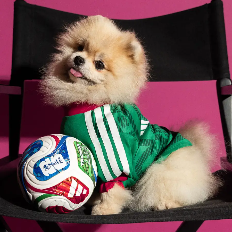 Adidas lança camisolas do Mundial 2026 para cães