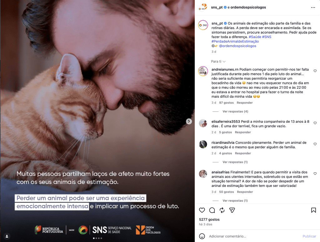 Perder um animal de estimação pode causar um luto profundo: SNS alerta para o impacto emocional