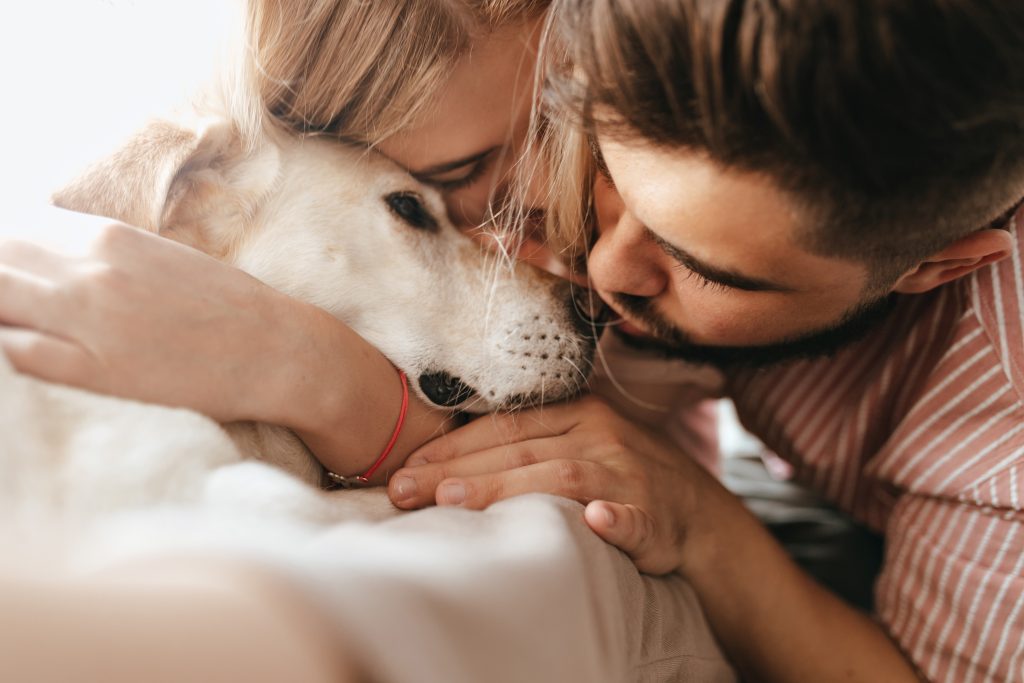 Licença para urgência veterinária? O debate que está a ganhar força entre os tutores de animais em Portugal