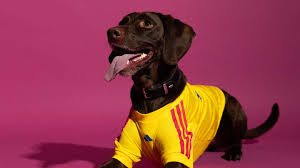 Adidas lança camisolas do Mundial 2026 para cães