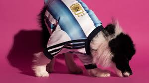 Adidas lança camisolas do Mundial 2026 para cães