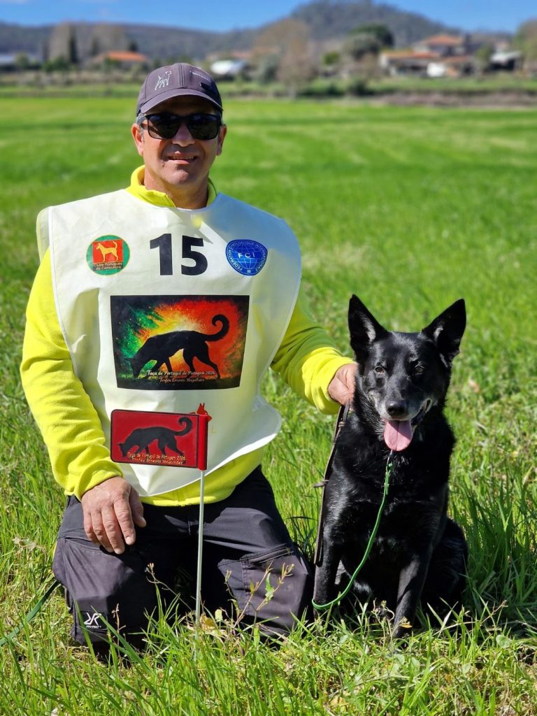 Bicampeão Nacional de Pistagem: Treinador Algarvio Faz História com um Australian Kelpie